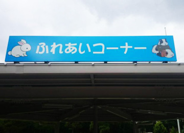 久留米鳥類センター内ふれあいコーナー